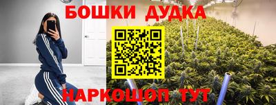 молекула духа Донецк