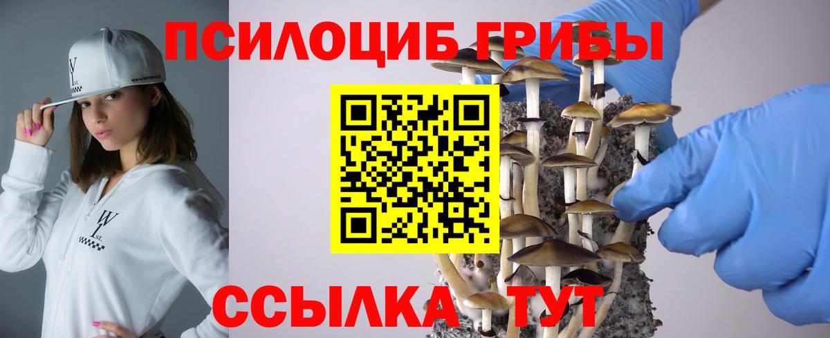 Псилоцибиновые грибы GOLDEN TEACHER  Вход с VPN  Крымск 